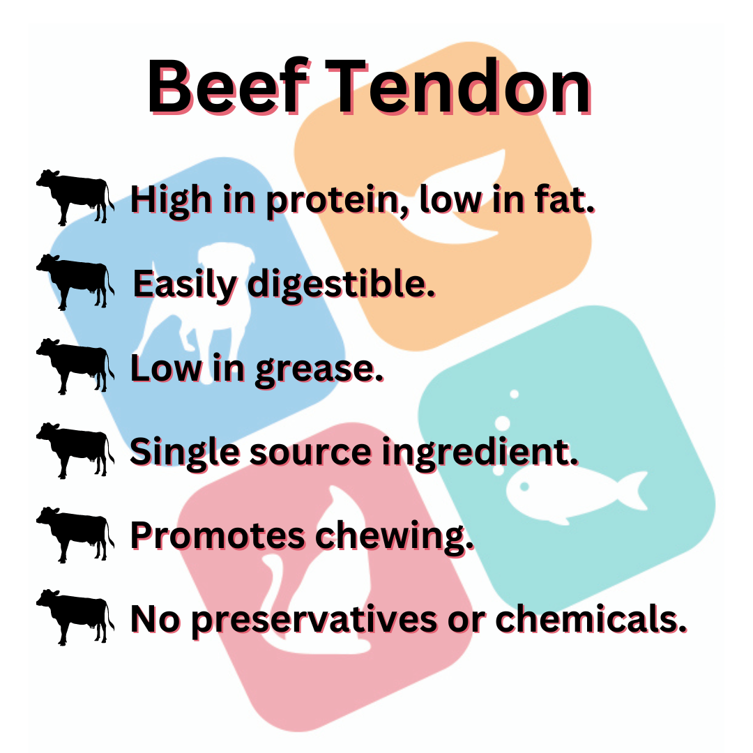 Beef Tendon