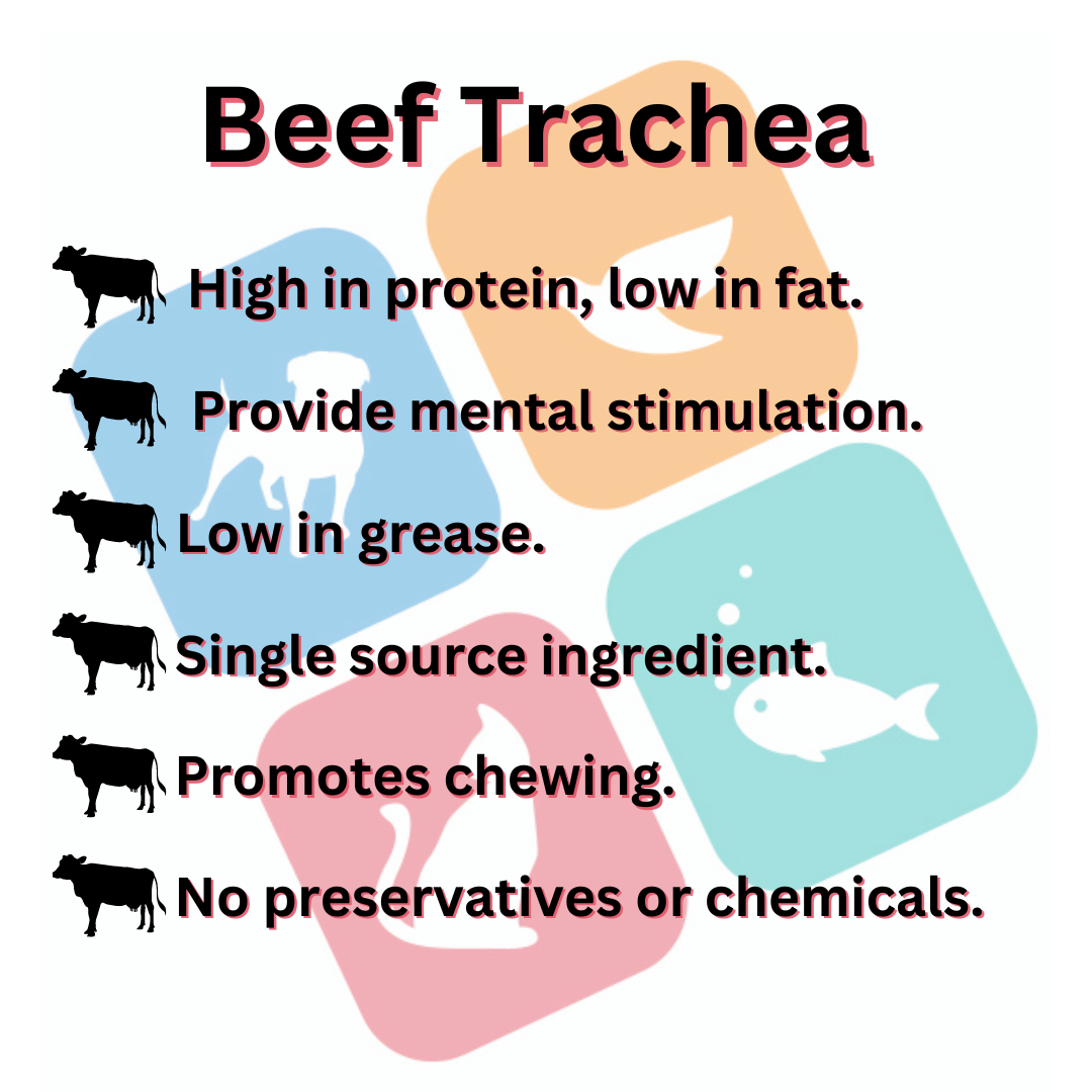 Beef Trachea