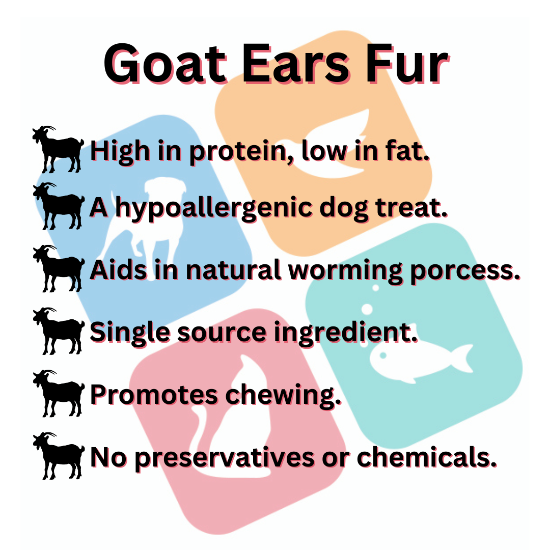 Goat Ears with Fur