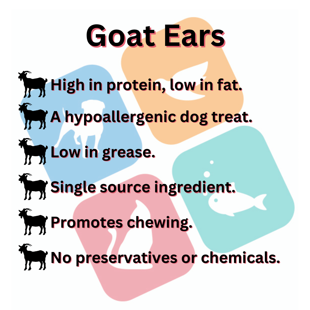 Goat Ears Natural