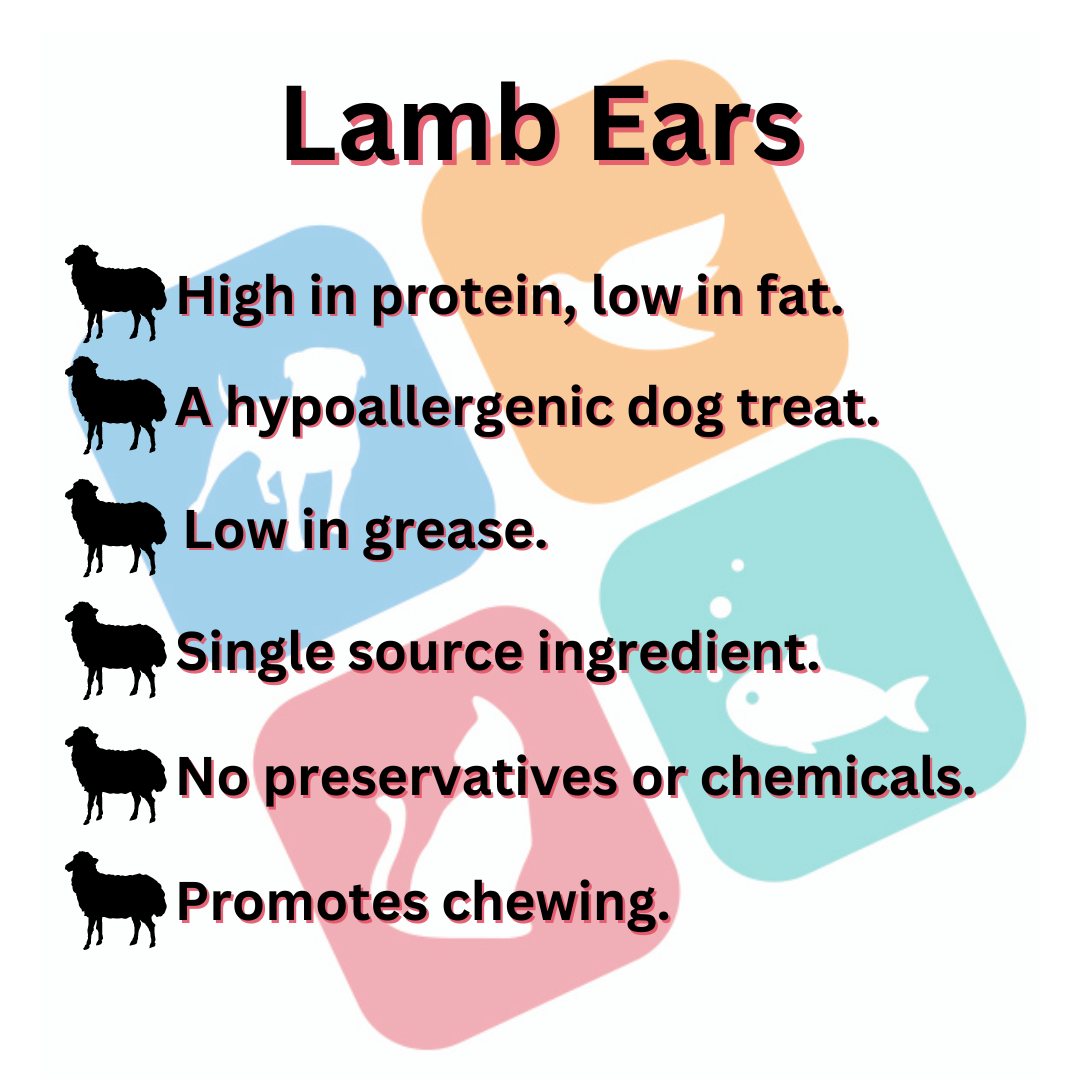 Lamb Ears Natural