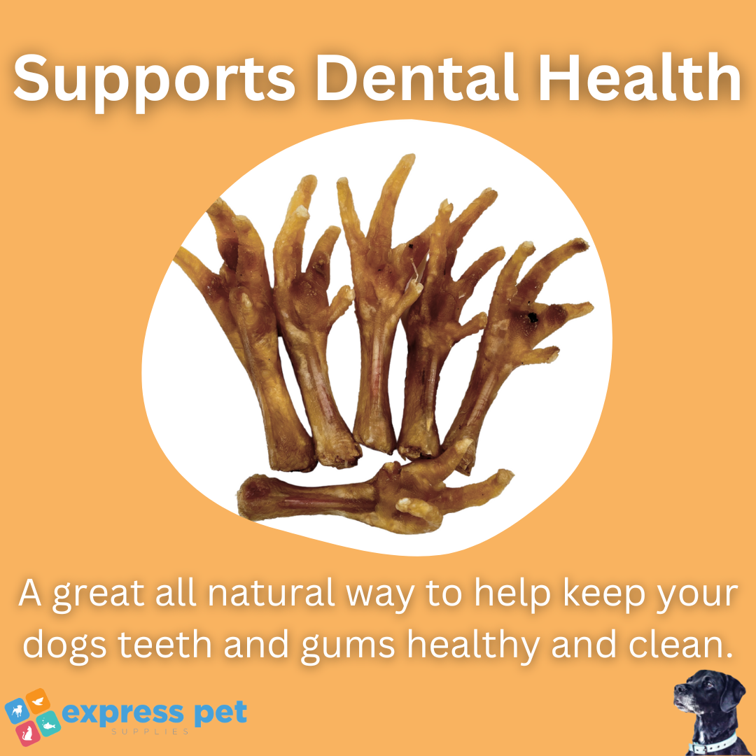 Chicken Feet Natural