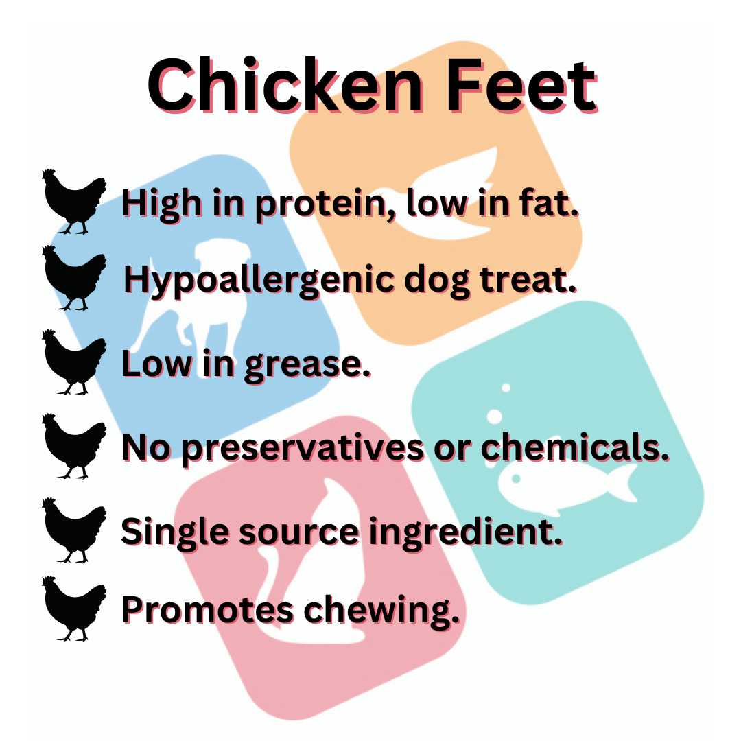 Chicken Feet Natural