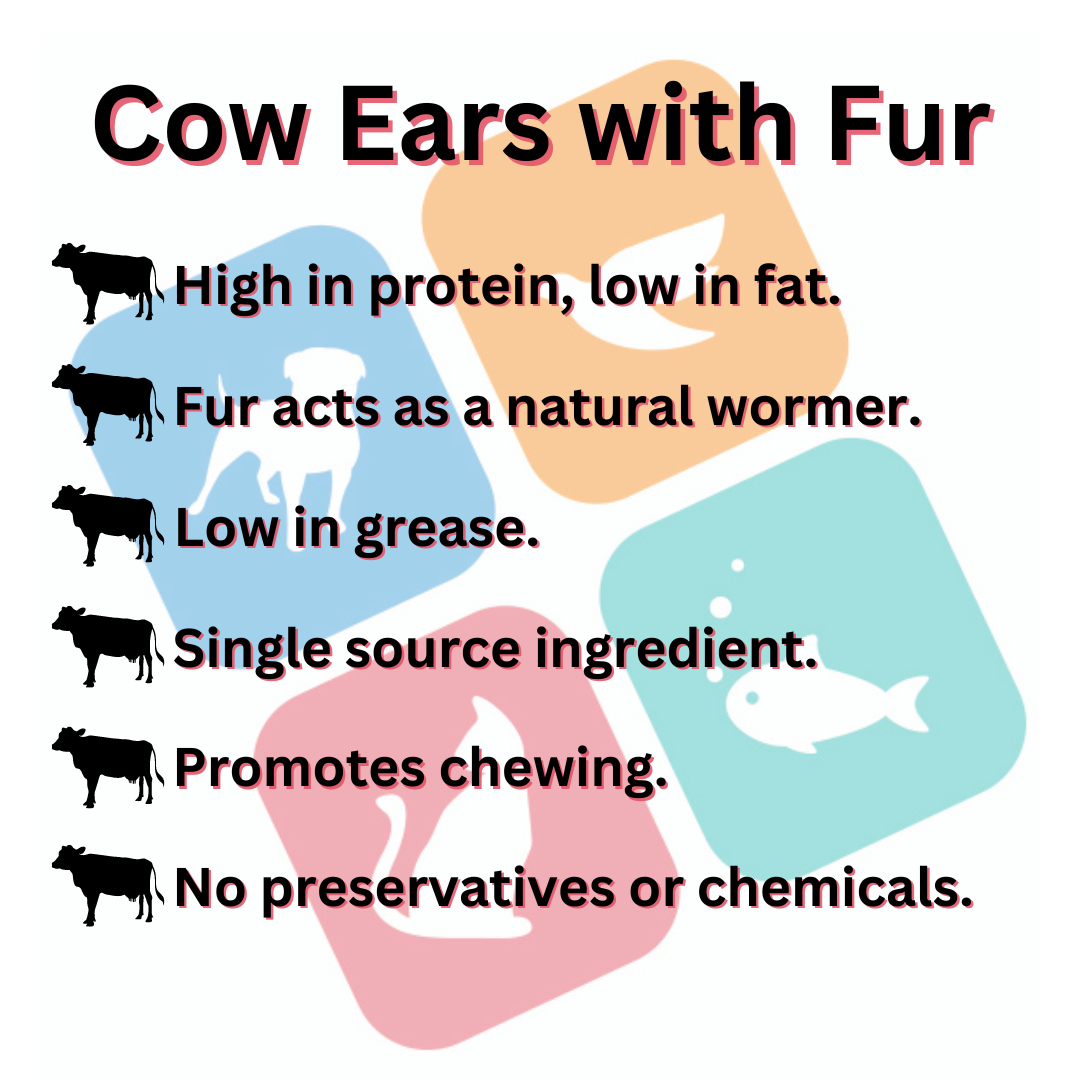 Cow Ears with Fur