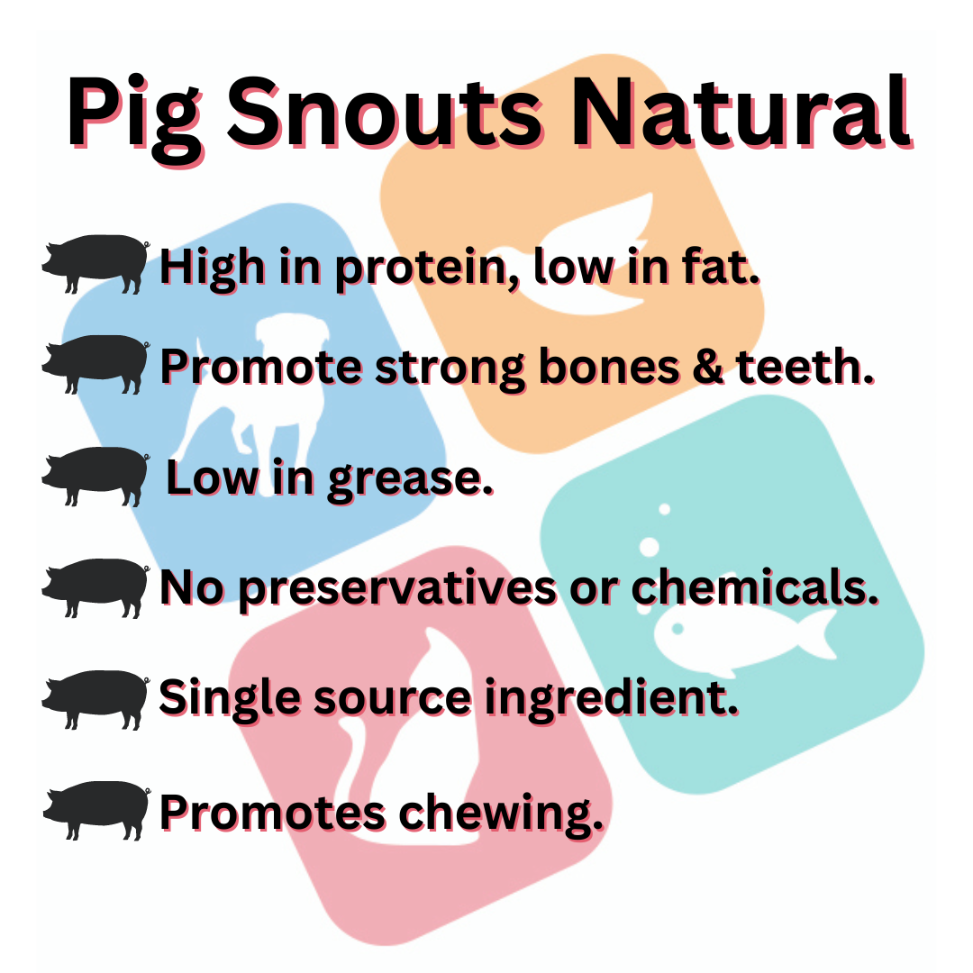 Pig Snouts Natural