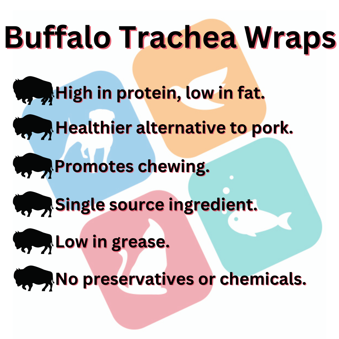 Buffalo Trachea wrapped in Buffalo Lung