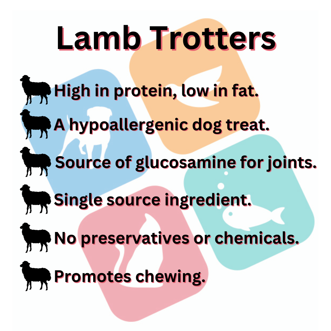 Lamb trotters