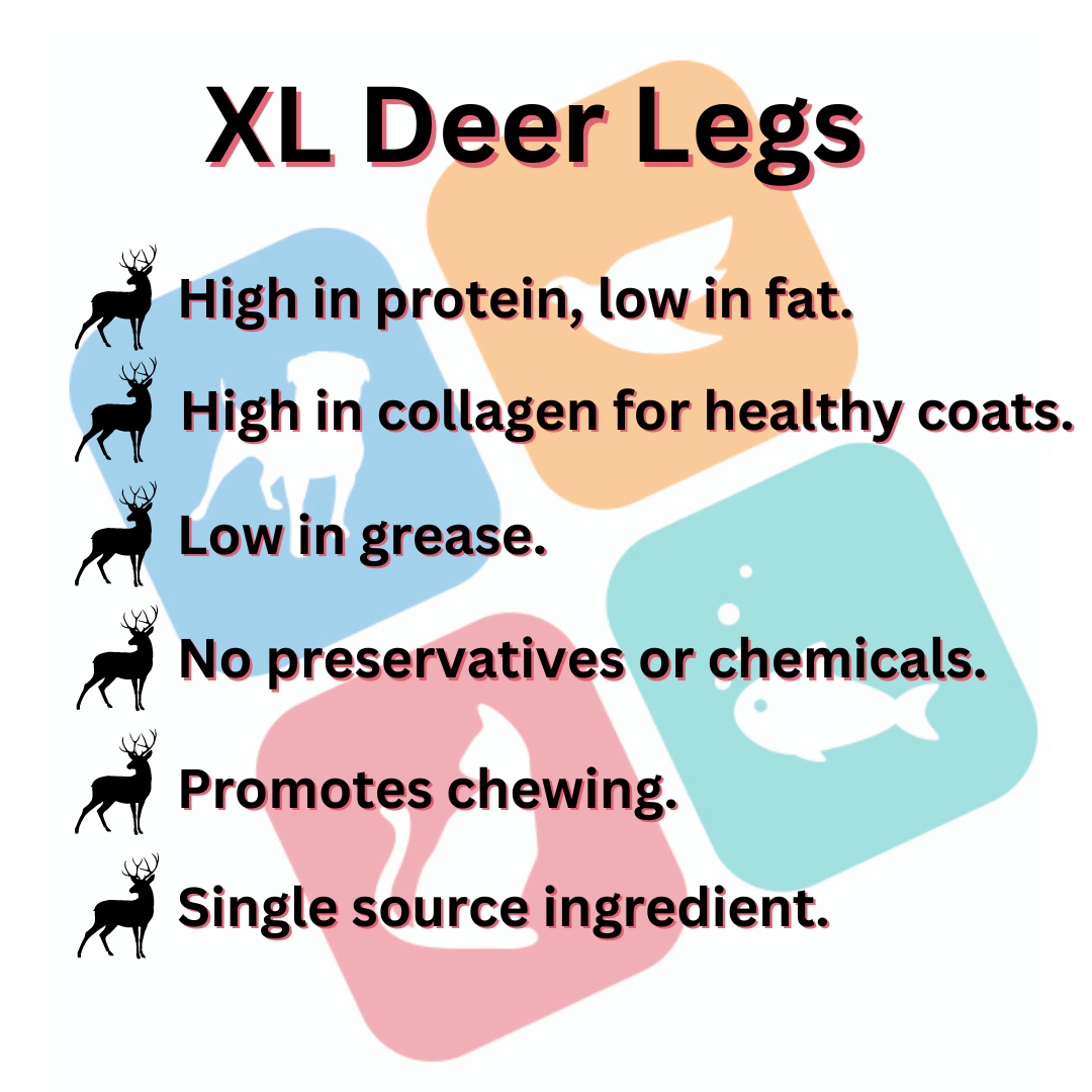 Jumbo Deer Legs Natural