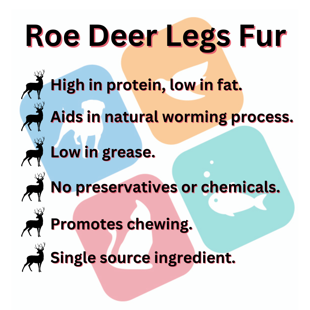 Roe Deer Legs with Fur