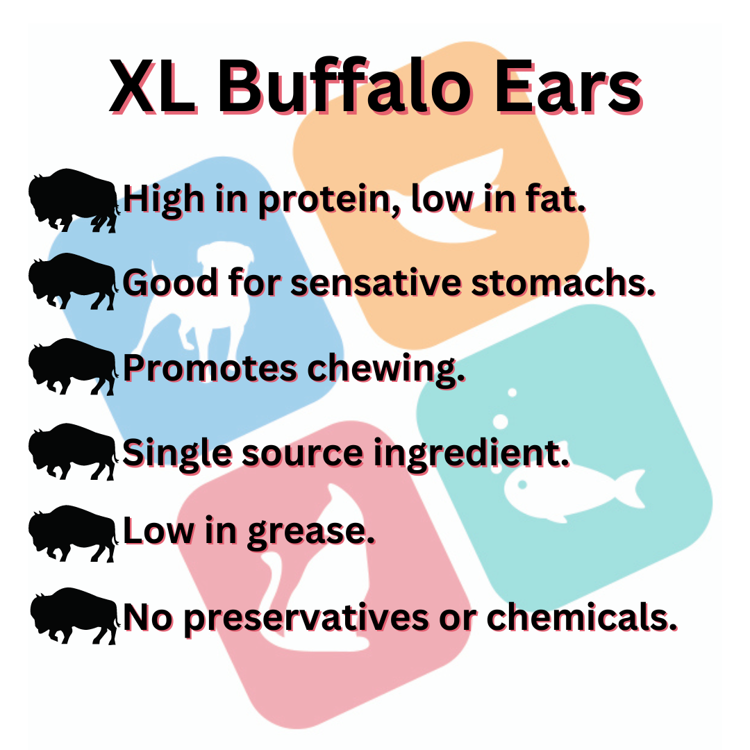 XL Buffalo Ears with Meat