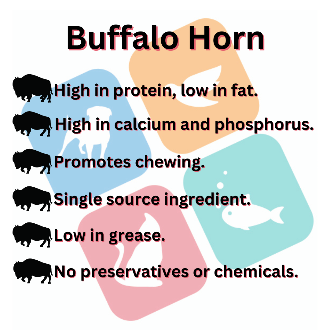 Buffalo Horn