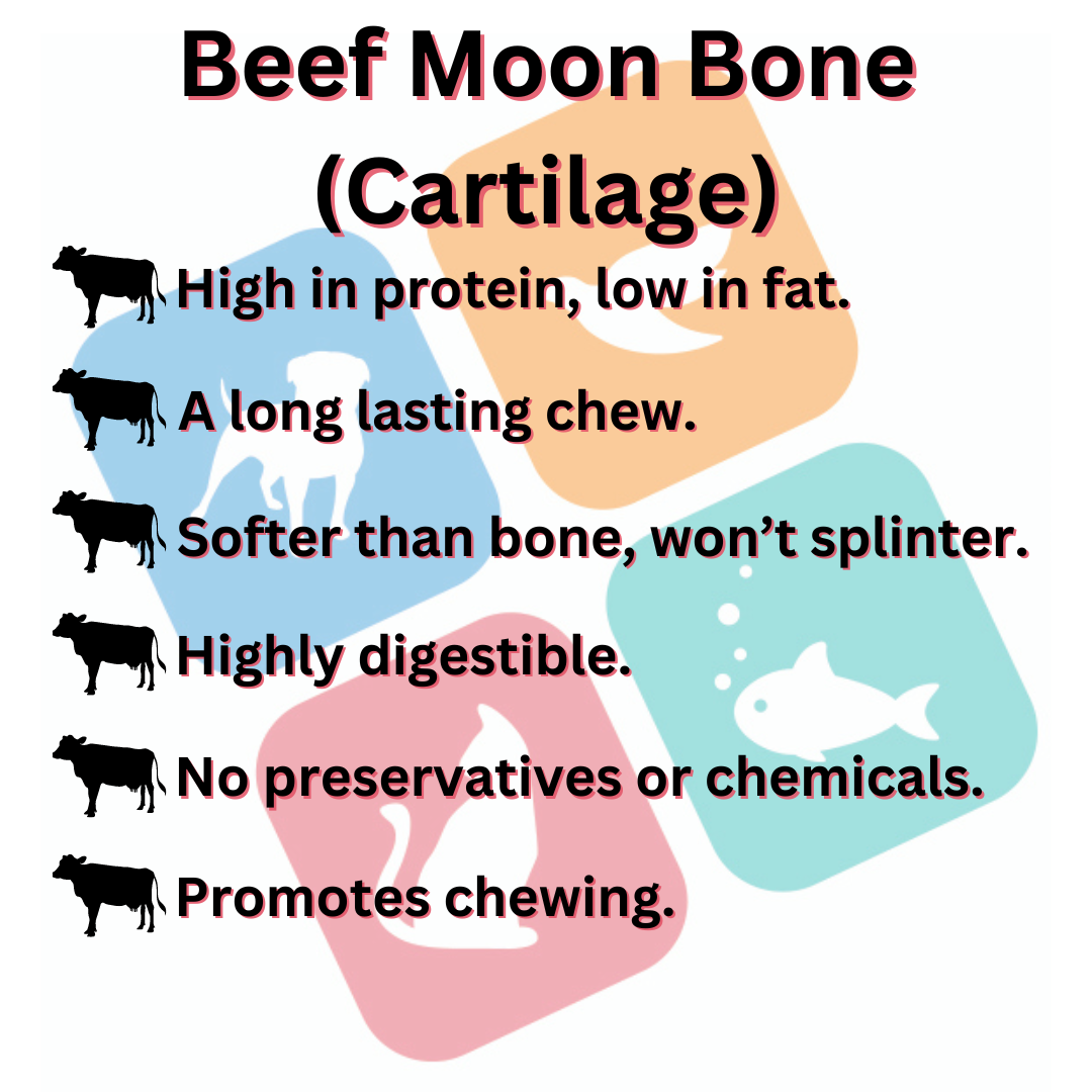 Beef Moon Bone