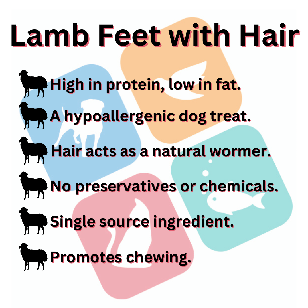 Lamb Feet with Hair