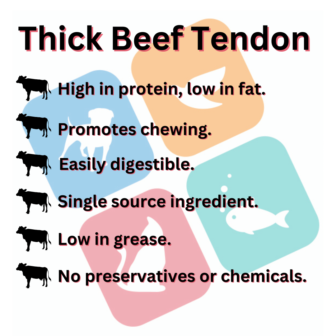 Thick Beef Tendon