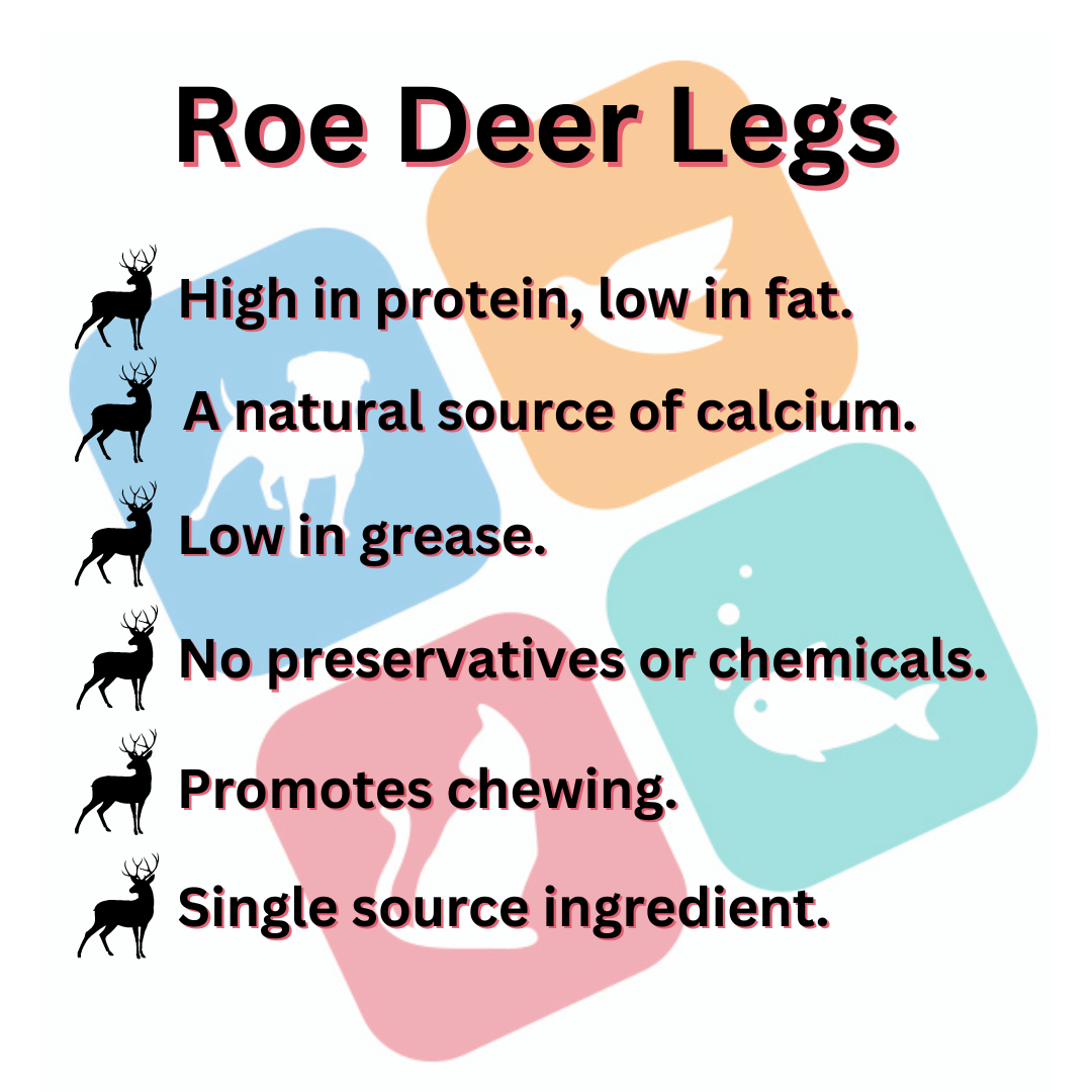 Roe Deer Legs Natural