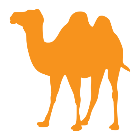 Camel