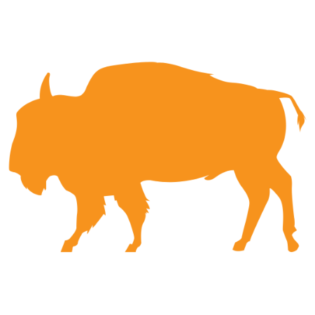 Buffalo