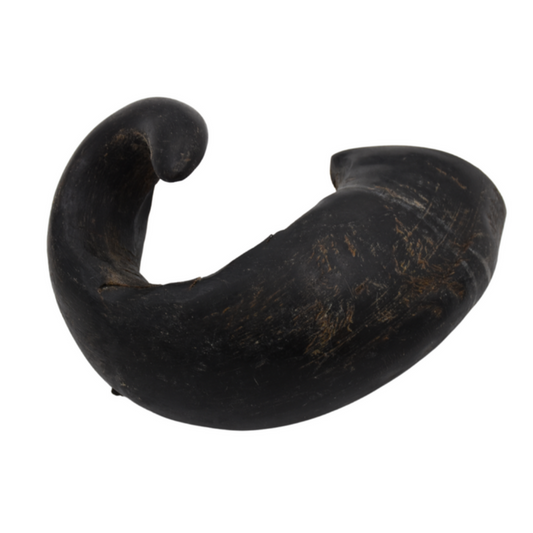 Buffalo Horn