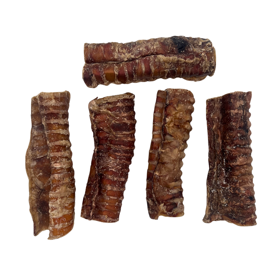 Collagen Filled Trachea