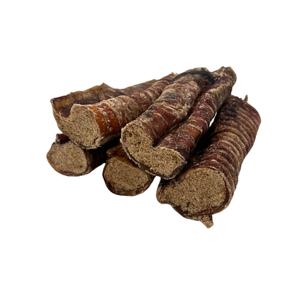 Collagen Filled Trachea