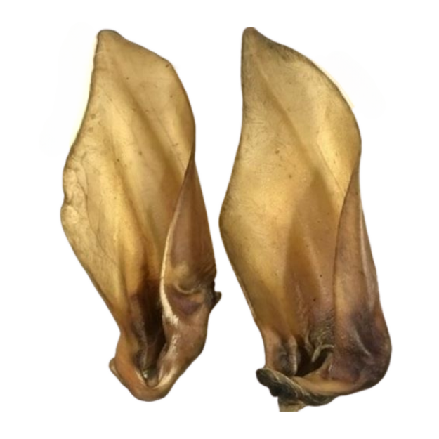 Picture of XL Buffalo Ears with Meat (25)