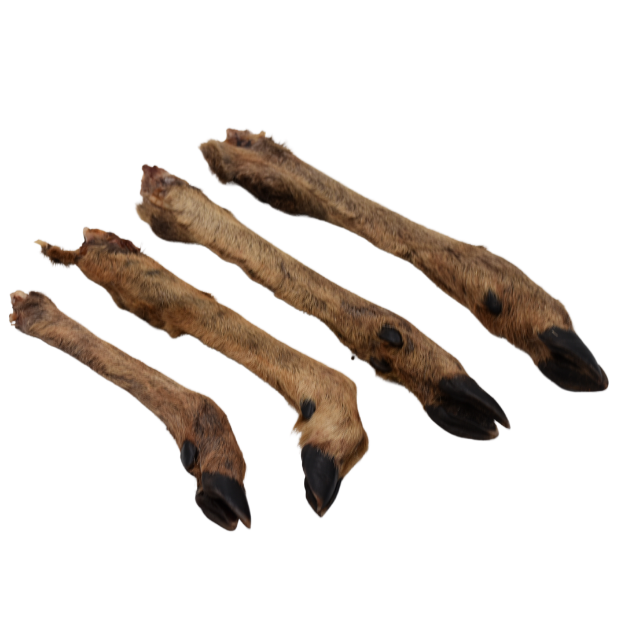 Picture of Roe Deer Legs with Fur (3)