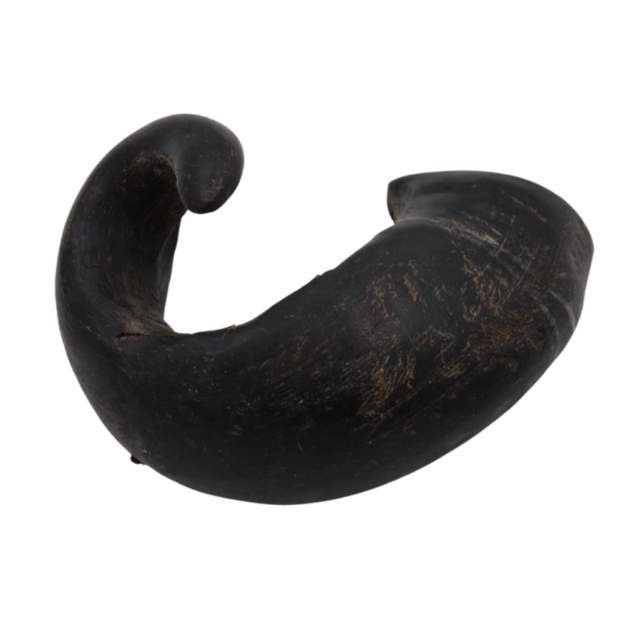 Picture of Buffalo Horn (Small)