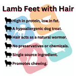 Picture of Lamb Feet with Hair (5 count)